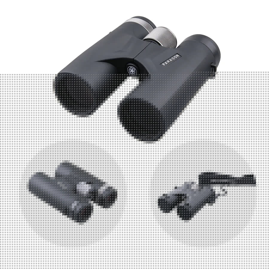 Vector Optics Paragon 10x42